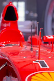 华体会app注册-全国青少年旱地冰球锦标赛在哈尔滨精彩展开，旱地冰球比赛时间