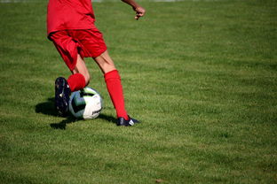 华体会官方网站-篮球运动员心理韧性培养与干预体系，篮球运动员的心理选材